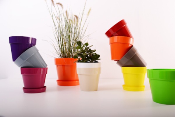 pots en plastiques contenant des plantes